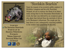 Steelskin Bearkin