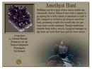 Amethyst Hunt